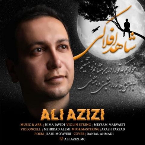 علی عزیزی - شاهد افلاکی